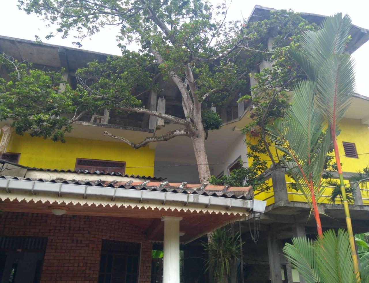 Yellowappartments هيكادوفا المظهر الخارجي الصورة